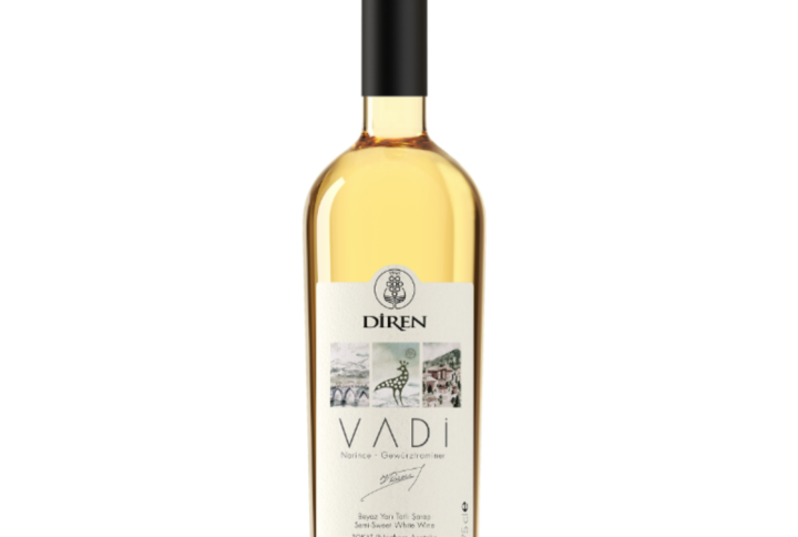 Diren Vadi