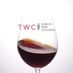 Turkish Wine Challenge 2024